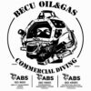 logo becu iso